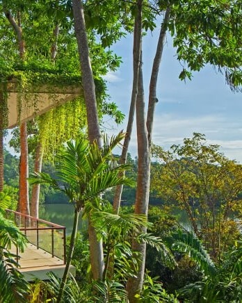 hotel-in-a-lush-sustainable-setting2028129