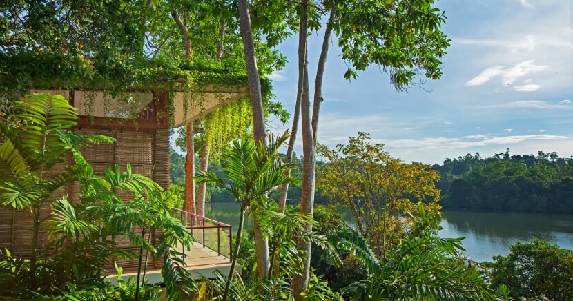 hotel-in-a-lush-sustainable-setting2028129