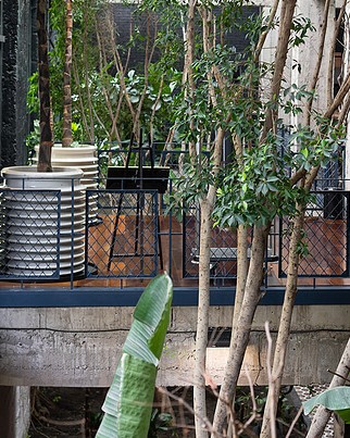 Future-of-hotels-is-sustainable-living